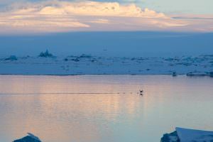 Jökulsárlón glacier lagoon