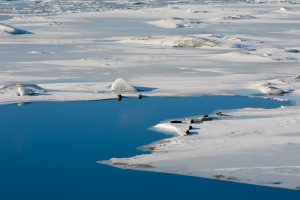 Jökulsárlón glacier lagoon