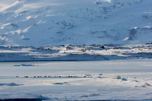 Jökulsárlón glacier lagoon