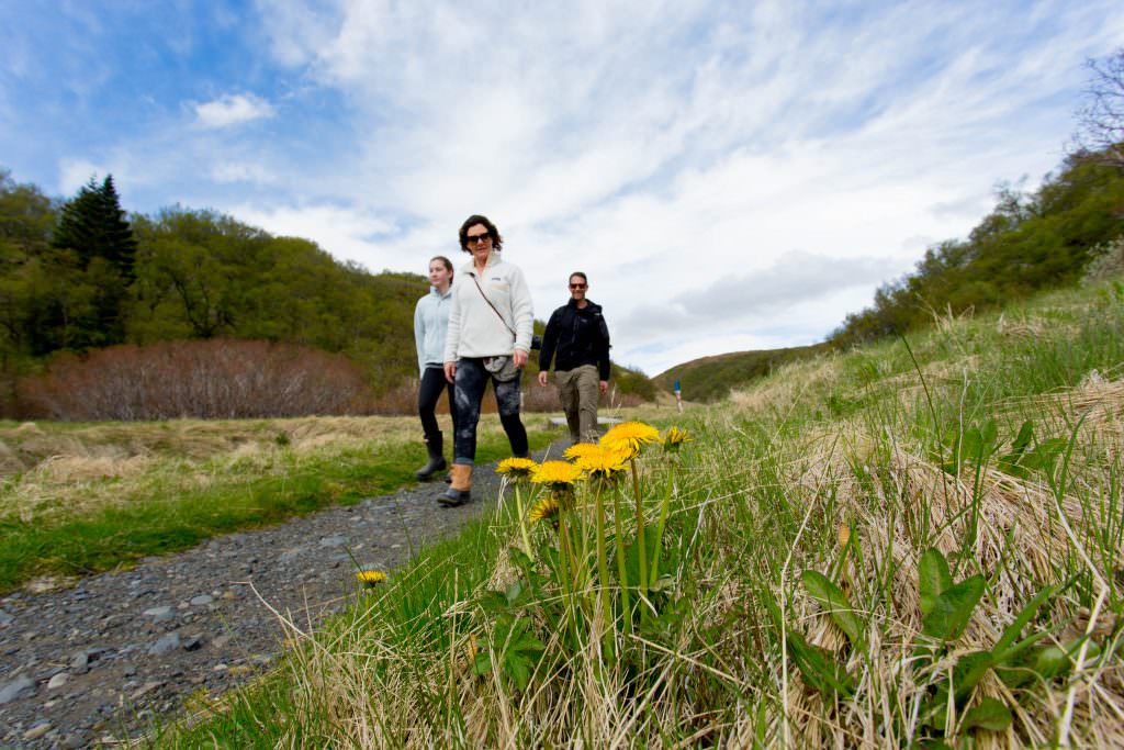 Walking in Thorsmörk