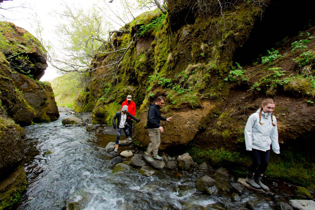 Nauthúsagil gorge