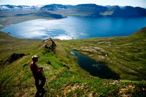 Hiking in Hornstrandir